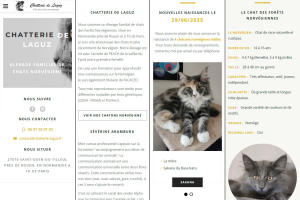www.chatterie-laguz.fr