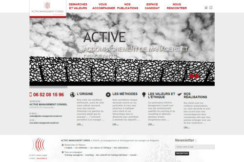 Ative Management Conseil (2015)